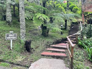thumbnail: Property grounds