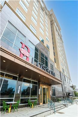 On-Site,Outdoor/Exterior,Exterior View of Building