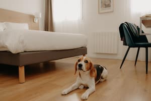thumbnail: Room