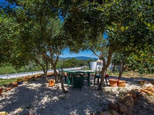 thumbnail: Garden