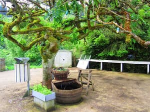 thumbnail: Property amenity
