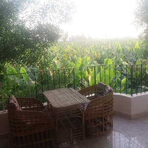 thumbnail: Terrace/patio