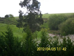 thumbnail: General view