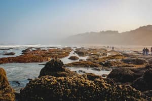 thumbnail: Beach