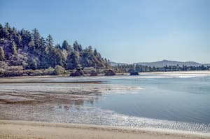 thumbnail: Beach