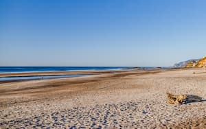 thumbnail: Beach