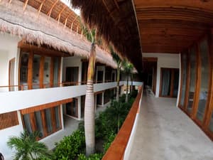 thumbnail: Garden
