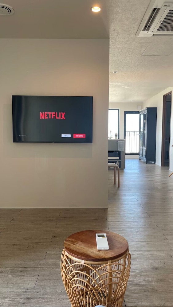 Television
