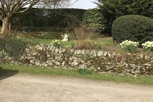 thumbnail: Property grounds