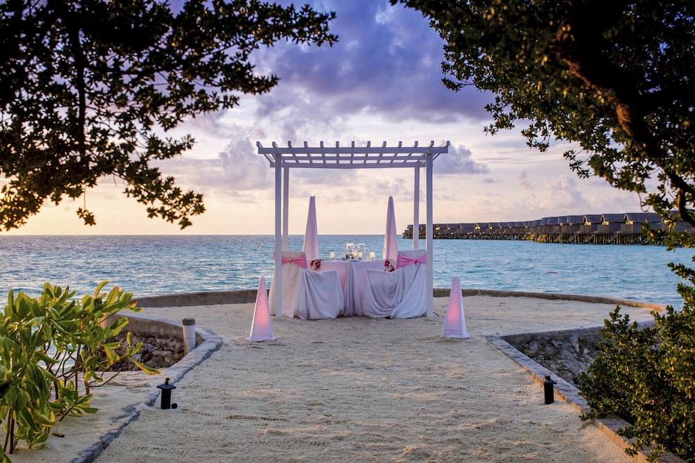 Outdoor wedding area