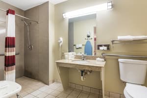 thumbnail: Accessible bathroom