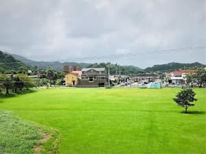 thumbnail: View from room