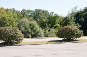 thumbnail: View from property
