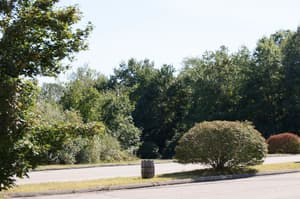 thumbnail: View from property
