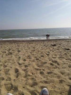 thumbnail: Beach