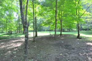 thumbnail: Property grounds