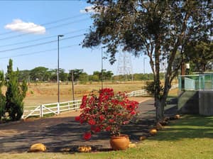 thumbnail: General view
