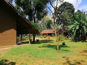 thumbnail: Property grounds