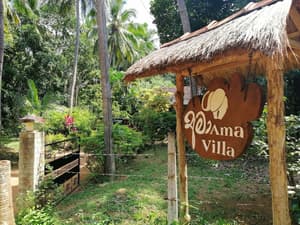 thumbnail: Property grounds