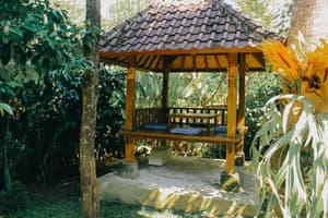 thumbnail: Property grounds