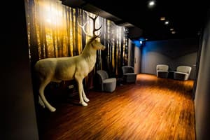 thumbnail: Interior