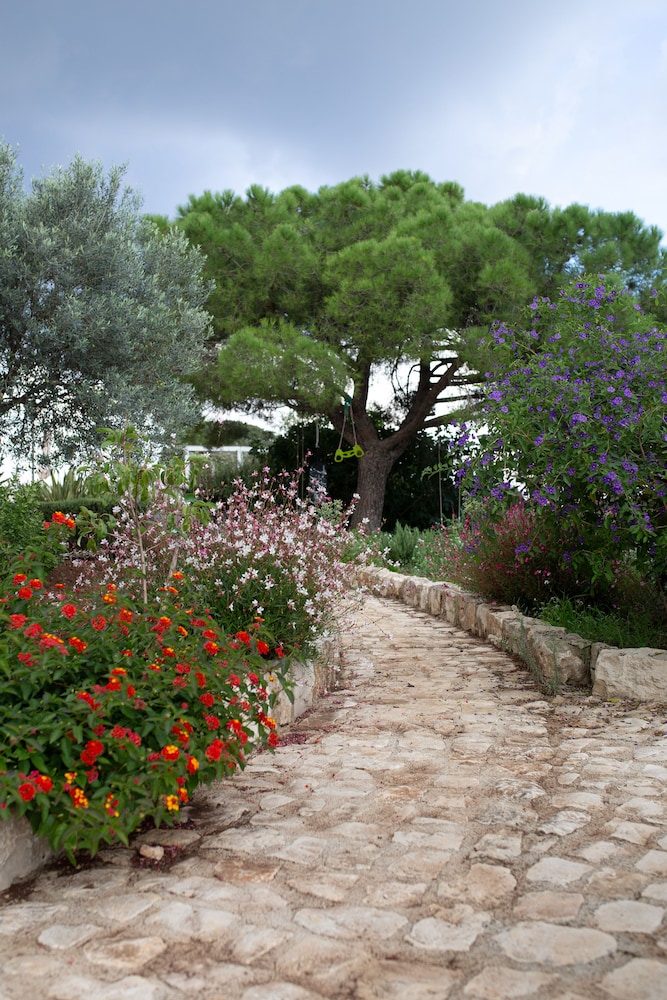 Courtyard view