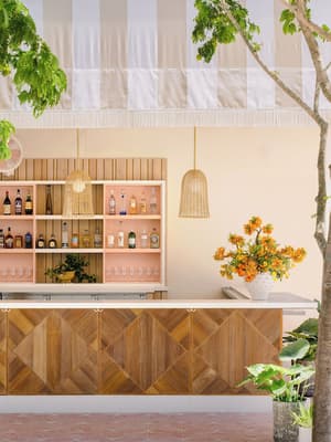 thumbnail: Bar (on property)