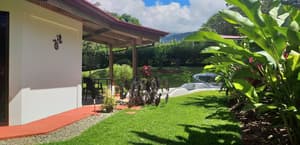 thumbnail: Garden view