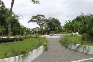 thumbnail: Garden