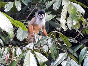 thumbnail: Ecotours