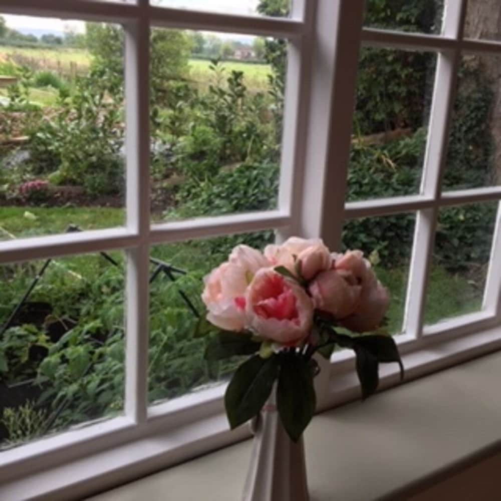 Land view from property