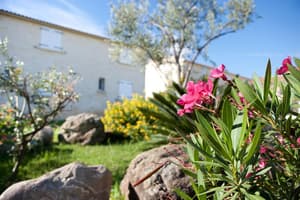 thumbnail: Garden