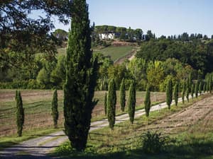 thumbnail: Garden