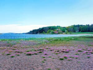 thumbnail: View from property