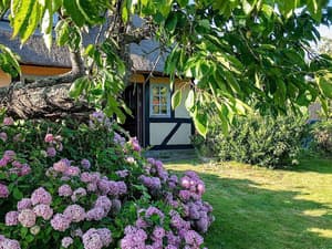 thumbnail: Exterior