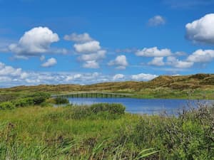 thumbnail: Water view