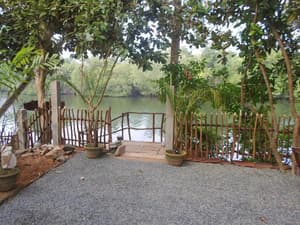 thumbnail: General view