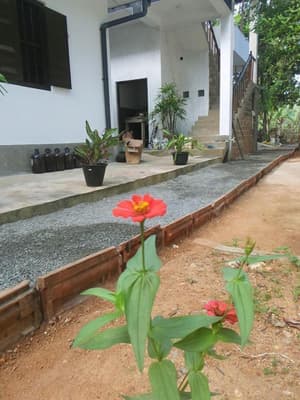 thumbnail: General view