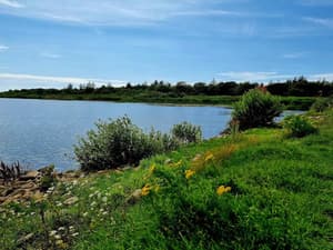 thumbnail: Water view
