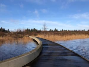 thumbnail: Water view