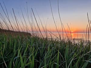 thumbnail: Water view