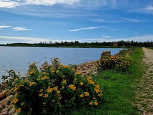 thumbnail: Water view