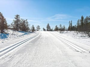 thumbnail: Snow and ski sports