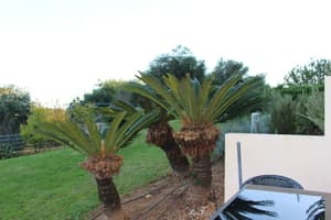 thumbnail: Property grounds