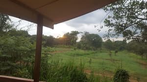 thumbnail: Property grounds