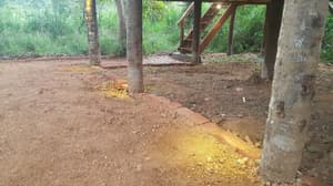 thumbnail: Property grounds