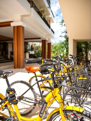 thumbnail: Bicycling