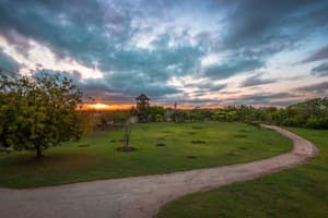 thumbnail: Garden