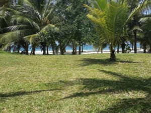 thumbnail: Property grounds