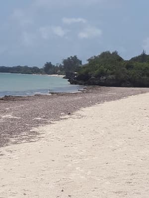 thumbnail: Beach